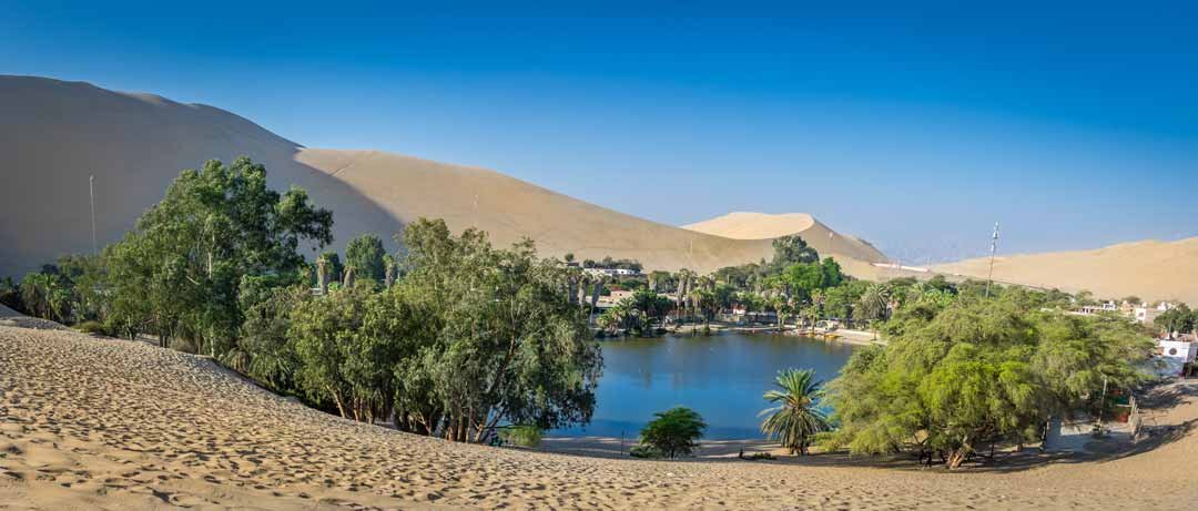 Huacachina-Dromedarius-Ica-Pan